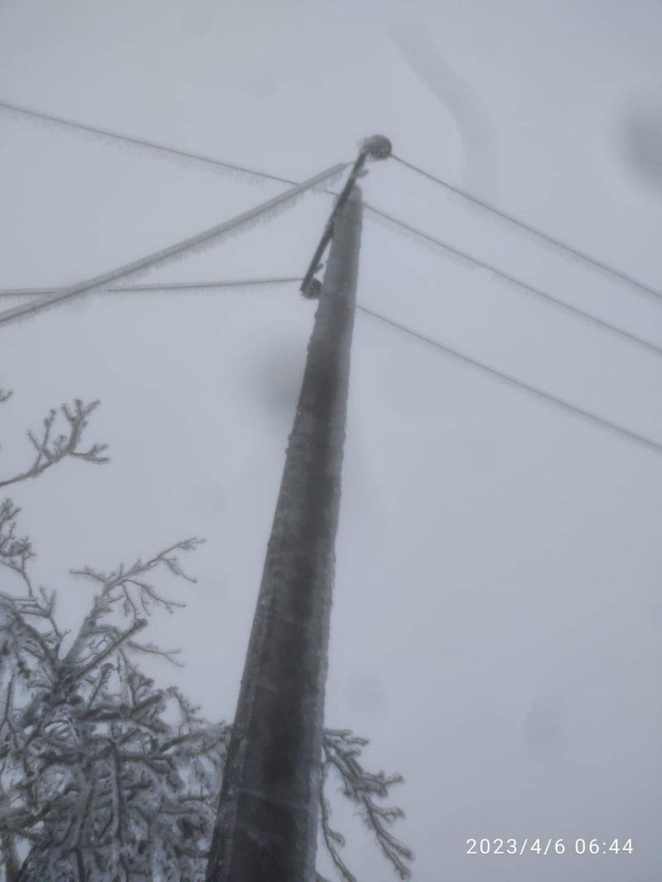 FOTO Vântul puternic a lăsat peste 20 de localități fără lumină: conductoare rupte și crengi aruncate peste rețele