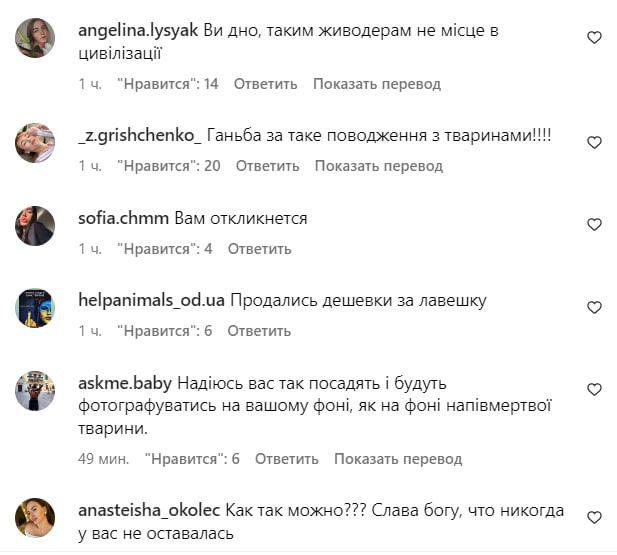 (VIDEO) Animale chinuite și filmate în camere de hotel. Scandal în jurul delfinariului din Odesa