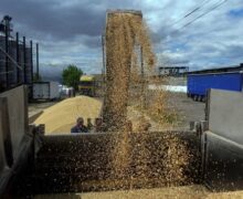 Украина может запретить импорт из Молдовы в ответ на ограничение ввоза зерновых