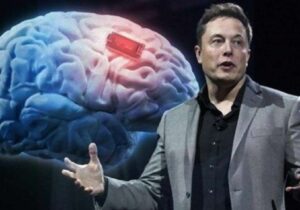 В США компании Neuralink Илона Маска разрешили тестировать мозговые чипы на людях