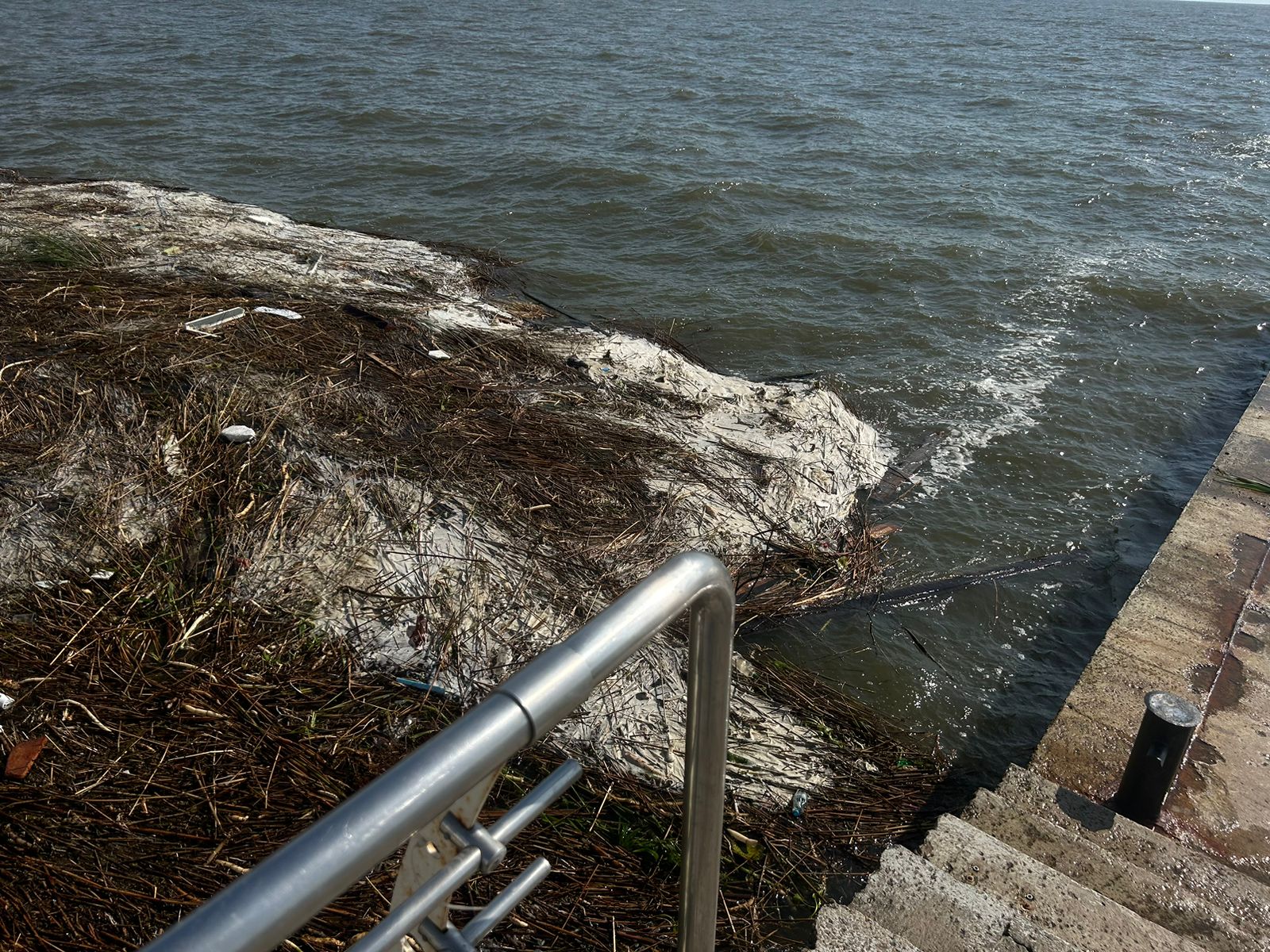 (ФОТО) В Одессе зафиксировали опреснение морской воды после прорыва дамбы Каховской ГЭС