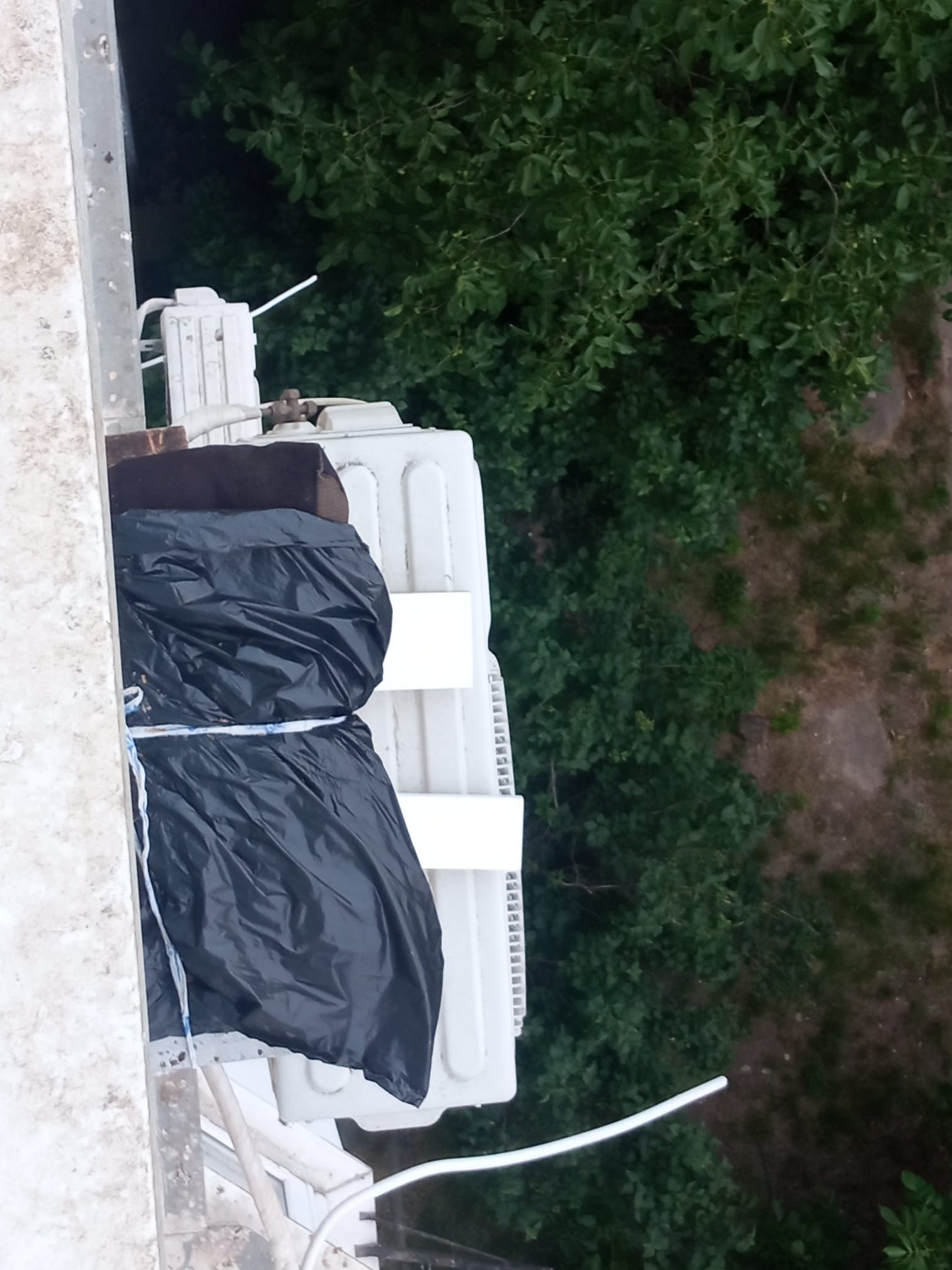 (ВИДЕО) Пчелы на балконе. Житель Кишинева устроил пасеку в своей квартире