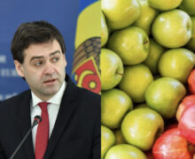 Швеция стала новым рынком сбыта для молдавских фруктов и овощей