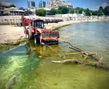 Опасно ли купаться в Черном море и пить воду после разрушения Каховской ГЭС в Украине?