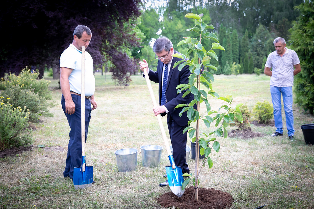(ФОТО) Гросу и его коллега из Франции посадили магнолии в Ботаническом саду