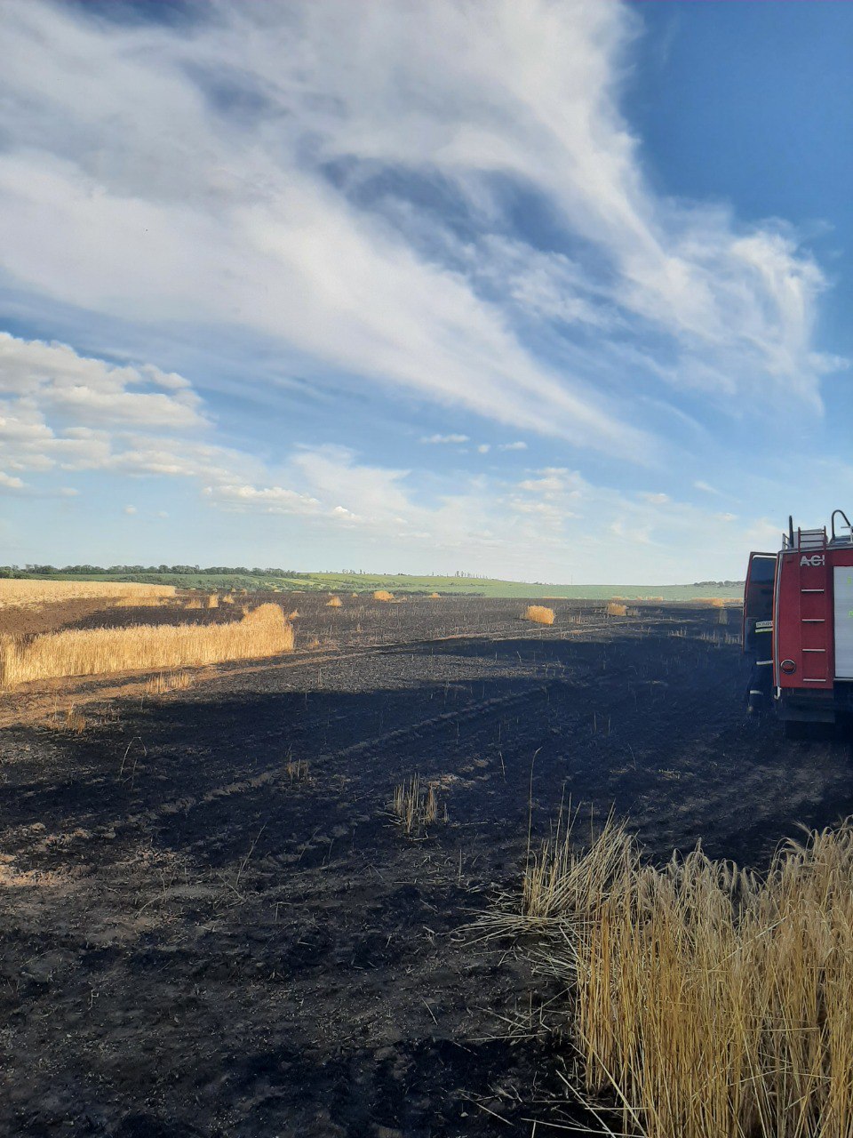 FOTO Aproape 60 hectare de orz și grâu, mistuite de flăcări la Anenii Noi