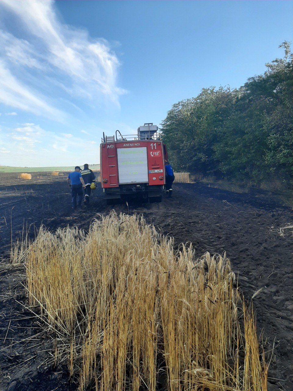 FOTO Aproape 60 hectare de orz și grâu, mistuite de flăcări la Anenii Noi