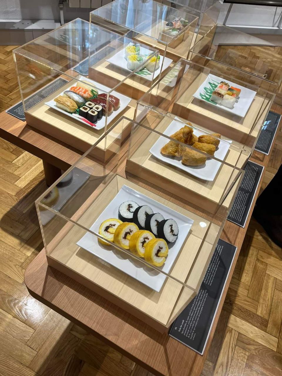 В Национальном музее истории Молдовы откроется выставка «Я люблю суши»