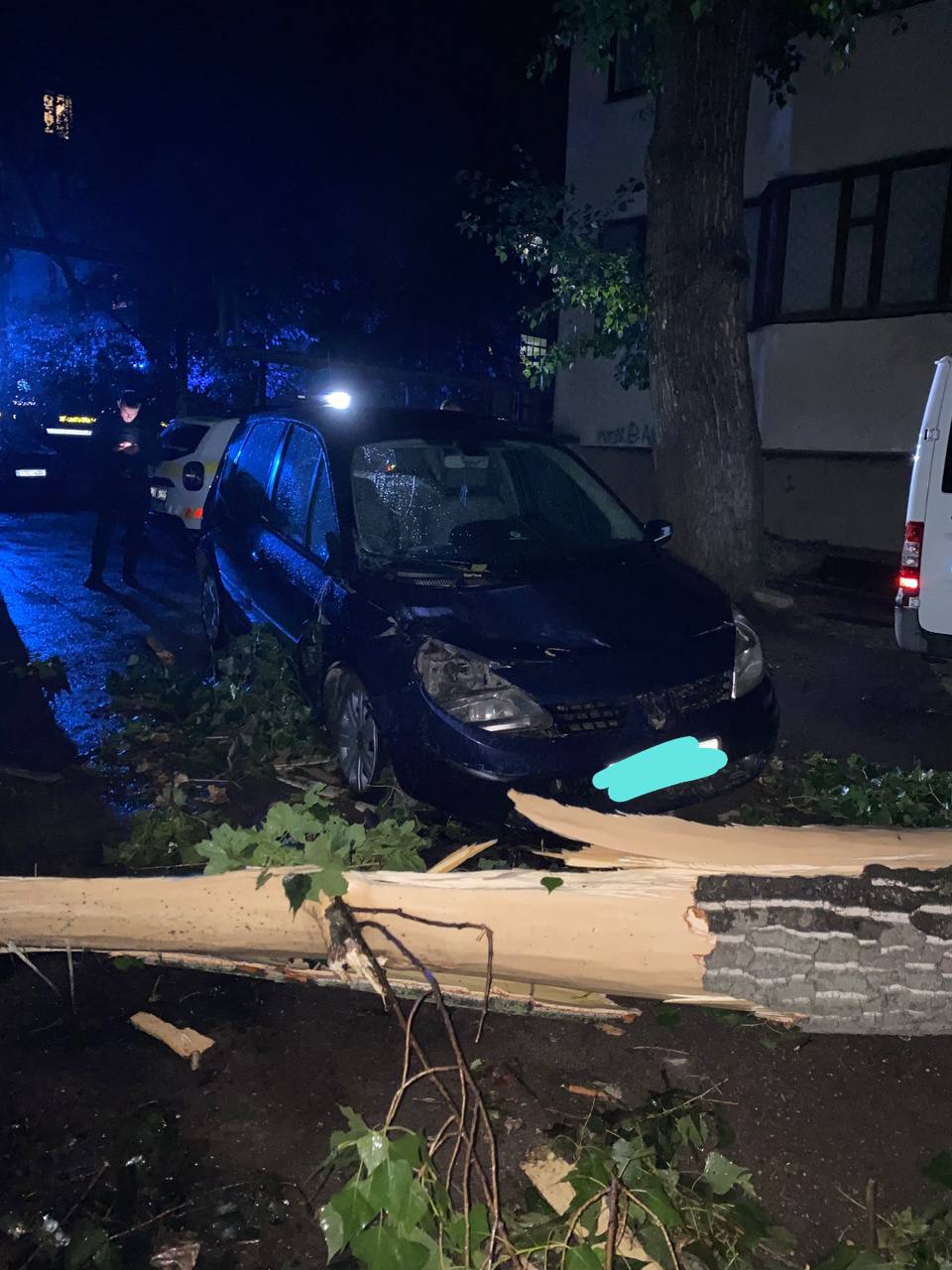 (ФОТО) Заблокированные трассы и массовое отключение электричества. Последствия непогоды на севере и в центре Молдовы