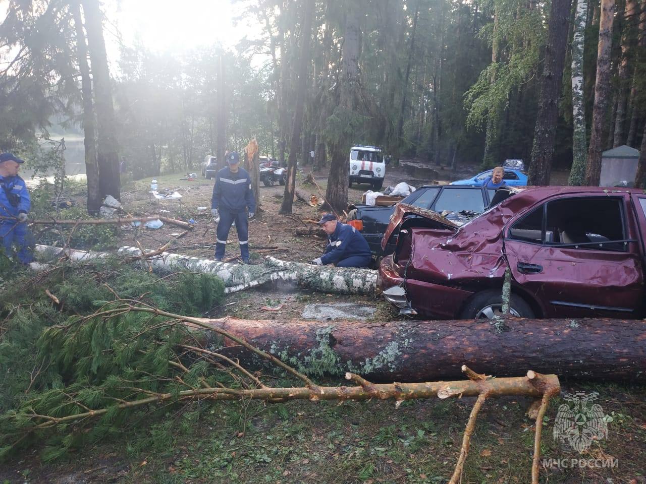 (ФОТО) Во время урагана в Марий Эл деревья завалили палаточный лагерь с туристами. Погибли 10 человек