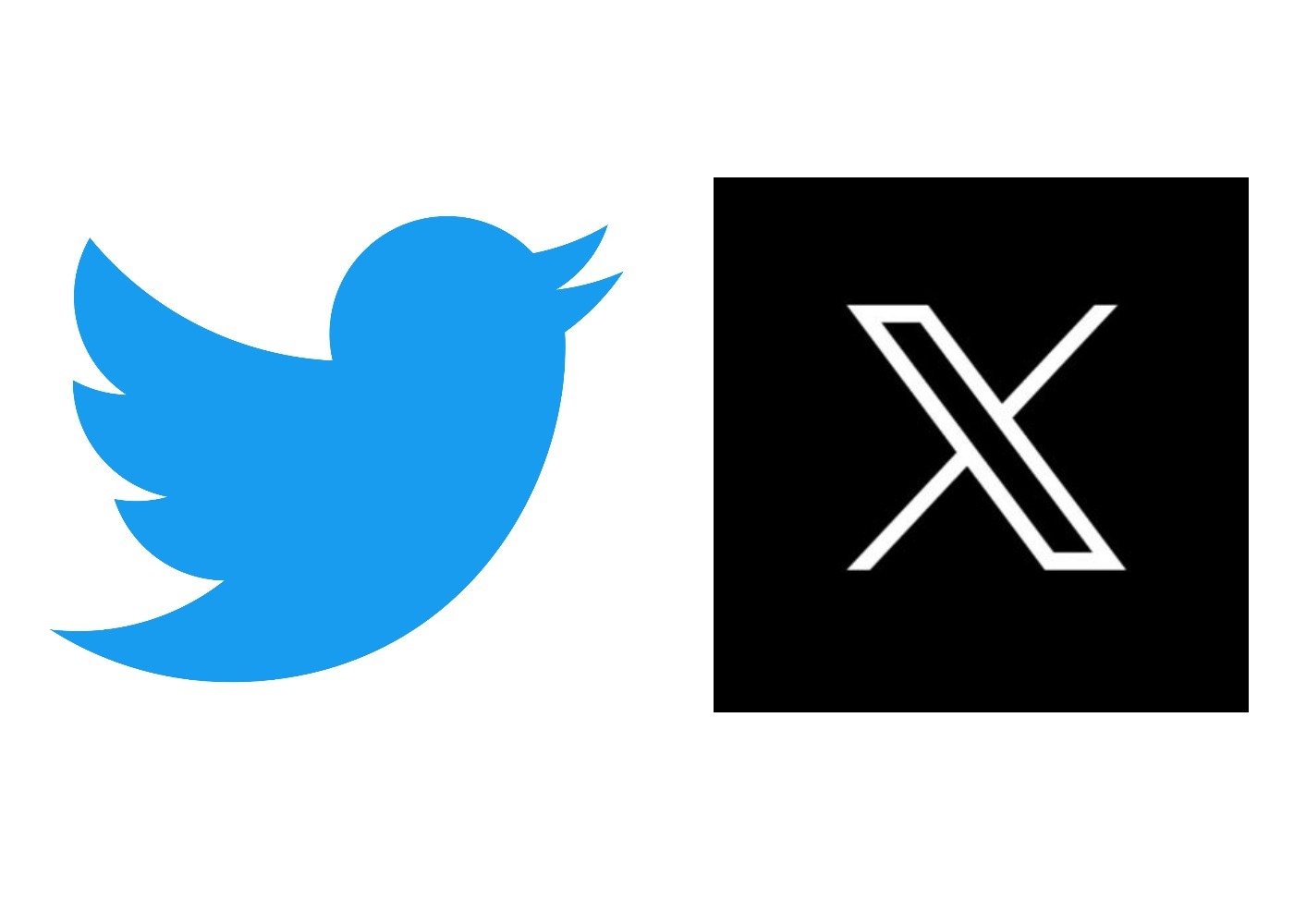 FOTO Twitter și-a schimbat logo-ul. Cu ce a fost înlocuită pasărea albastră