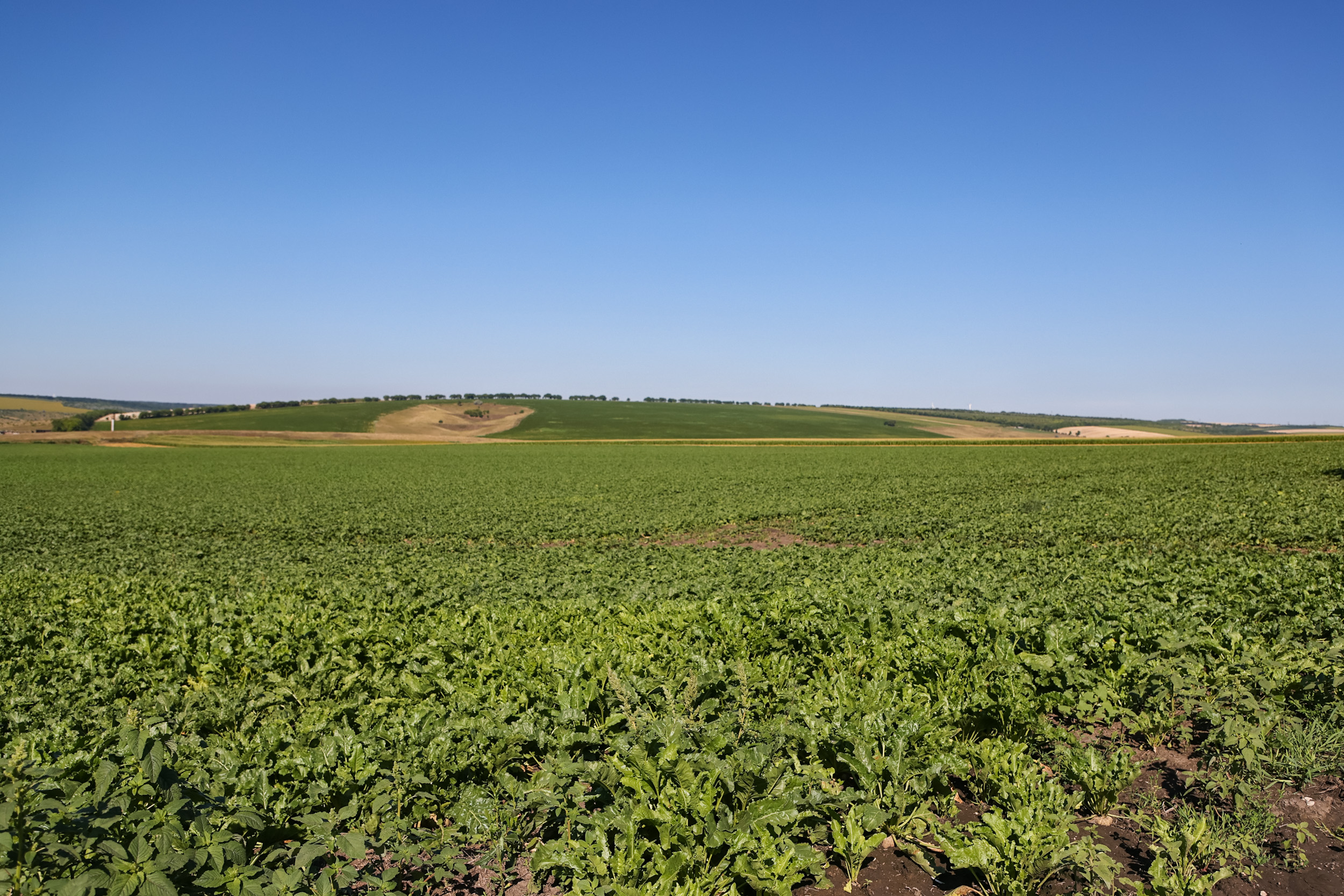 Recean a vizitat la Dondușeni unul dintre cei mai mari producători de cereale din țară. Premierul îndeamnă antreprenorii să ceară sprijin de la Guvern