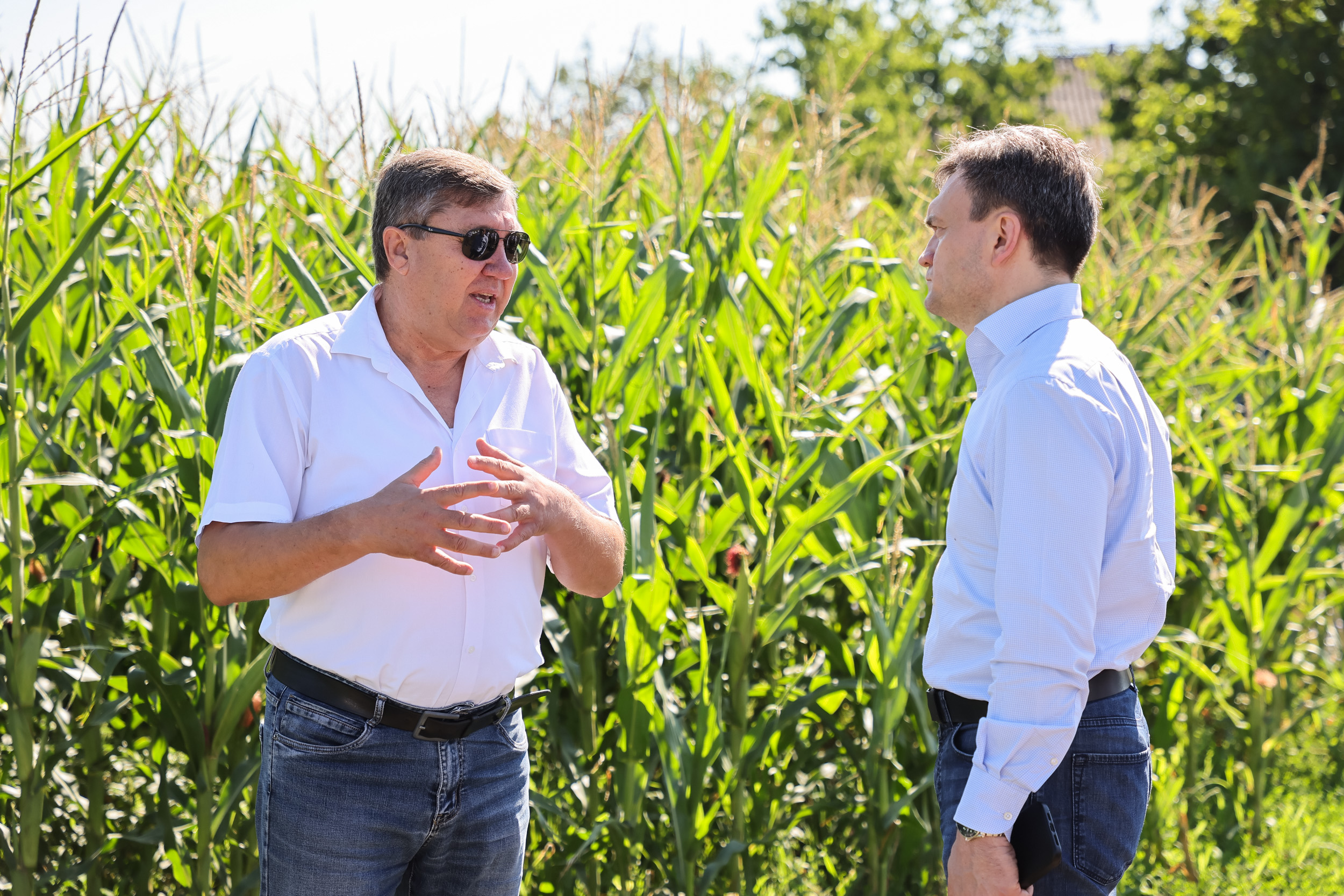 Recean a vizitat la Dondușeni unul dintre cei mai mari producători de cereale din țară. Premierul îndeamnă antreprenorii să ceară sprijin de la Guvern
