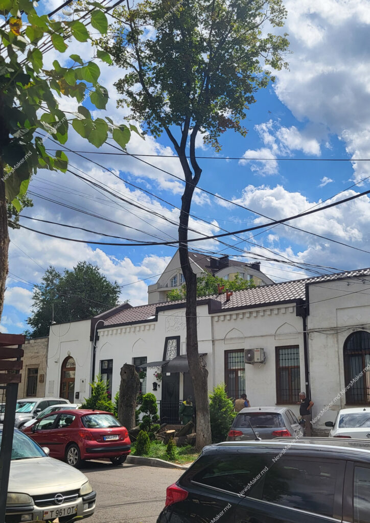 Arbori transformați în cioturi pe o stradă din centrul Chișinăului. Explicația întreprinderii „Spații Verzi”