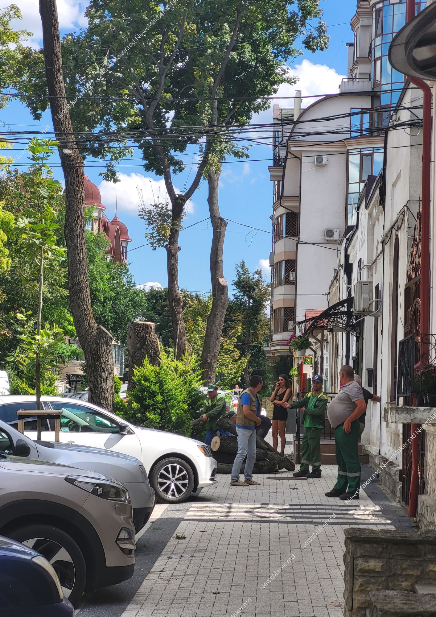 (ФОТО) В центре Кишинева рубят здоровые деревья? Что сказали в Ассоциации зеленых насаждений