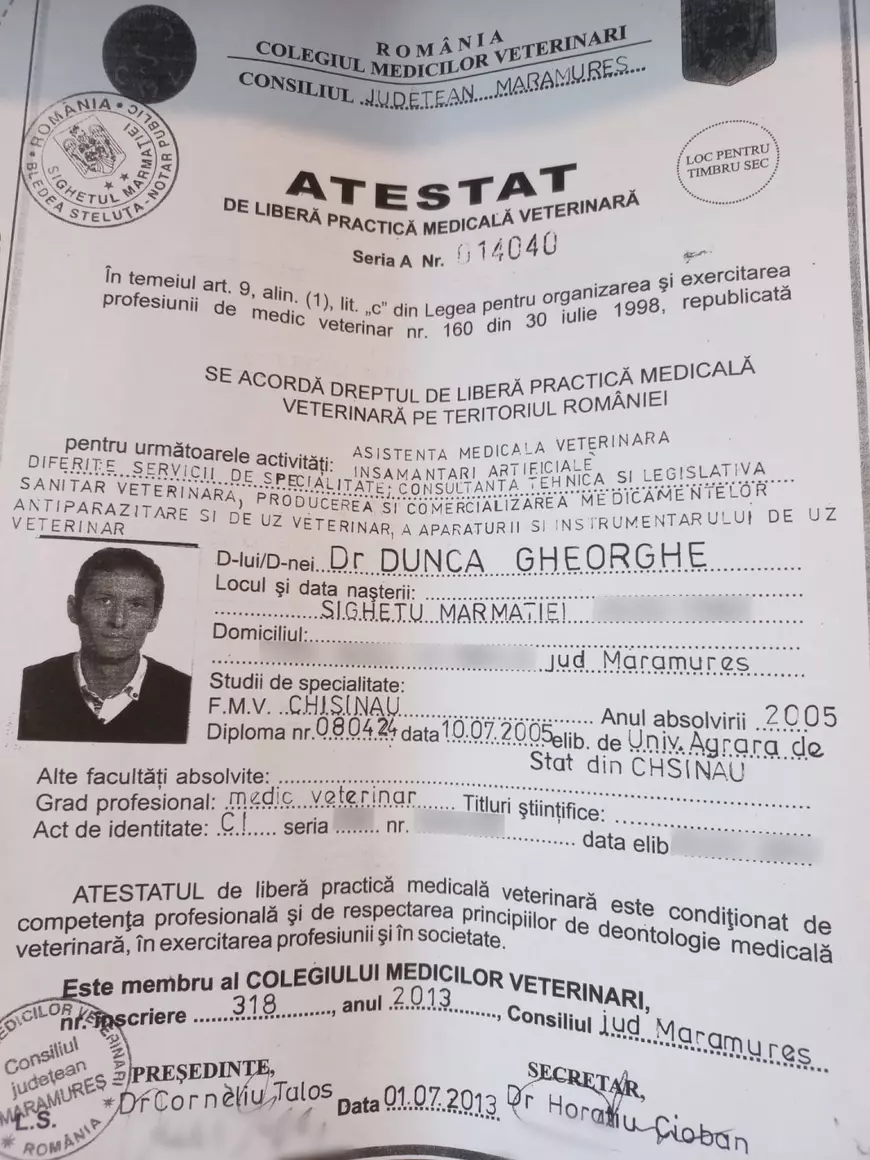 Doi veterinari cu diplome false din Moldova au contracte de mii de euro în România