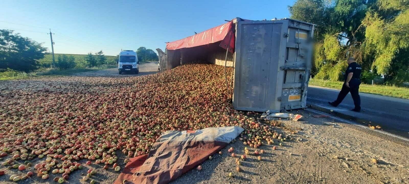 FOTO Un autocamion, care tracta o remorcă cu mere, s-a răsturnat la Soroca: șoferul a avut nevoie de îngrijiri medicale
