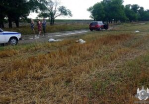 В Слободзейском районе за день погибли десятки коз. Что случилось?