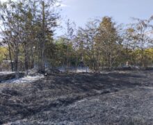 VIDEO Moldova, mistuită de incendii de vegetație. Un bărbat s-a intoxicat cu fum, după ce a încercat singur să stingă un focar