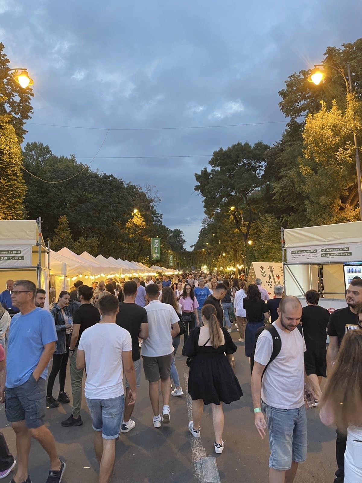FOTO Vinurile Moldovei, degustate la București. Festivalul se bucură de un număr mare de vizitatori