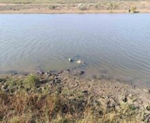 (ФОТО) В озере в Каушанском районе нашли фрагменты ракеты