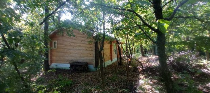 (ФОТО) В Дурлештах незаконно использовали участок лесного фонда. Его огородили и возвели постройки