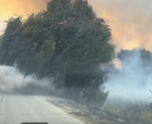 VIDEO Incendiu de vegetație la Roșcani: Scrumul a ajuns până în capitală
