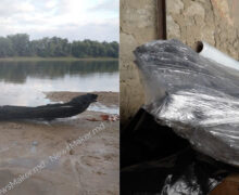 VIDEO Ce s-a întâmplat cu barca din lemn, veche de aproape 1000 de ani, găsită în râul Nistru?