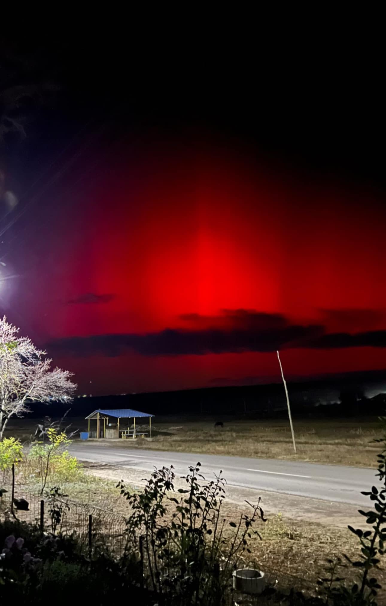 Aurora Boreală a fost surprinsă pe cerul din Republica Moldova. Imagini inedite