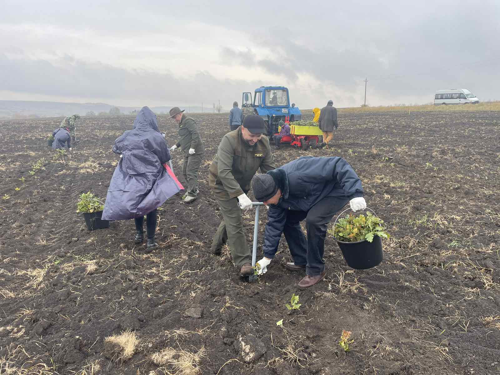 FOTO Președinta țării, diplomați, miniștri și oameni simpli au împădurit Moldova. Autoritățile au pus la dispoziție 35 mln puieți
