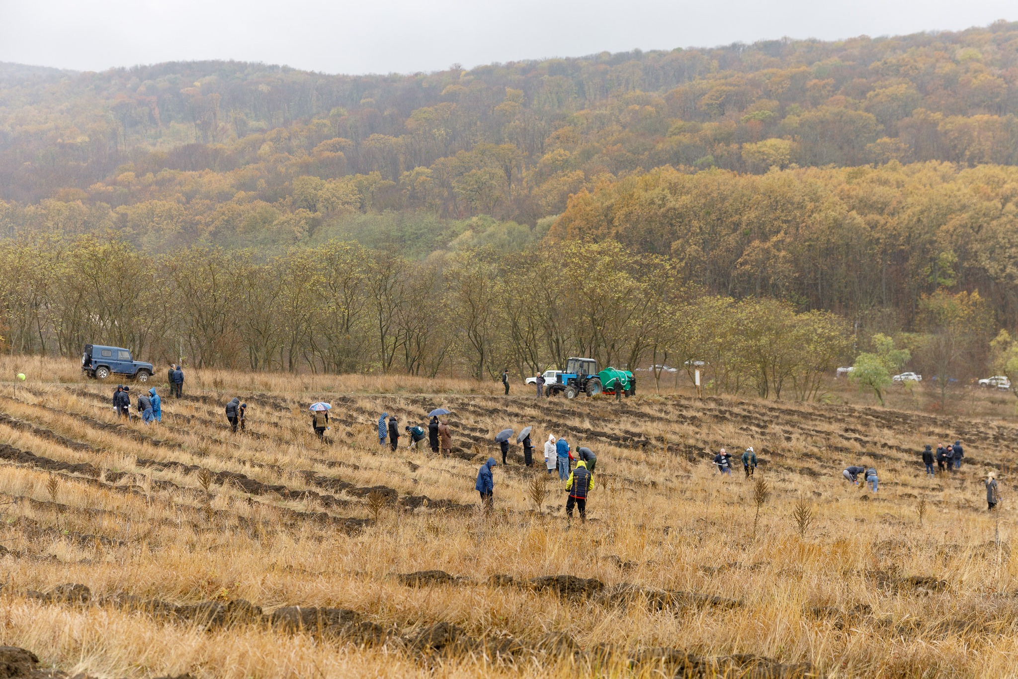 (ФОТО) В Молдове этой осенью посадят 35 млн деревьев