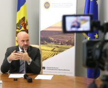 NM Espresso: почему Wizz Air возвращается в Молдову, как рассчитать компенсации за газ и тепло, и чего (не) добились фермеры
