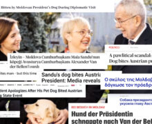 «Лаполитический скандал». Международные СМИ об инциденте с президентом Австрии и «первой собакой Молдовы»