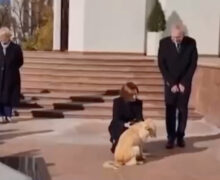 (ВИДЕО) Собака Майи Санду укусила президента Австрии при знакомстве