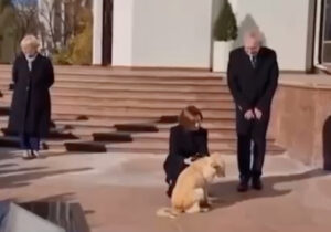 (ВИДЕО) Собака Майи Санду укусила президента Австрии при знакомстве