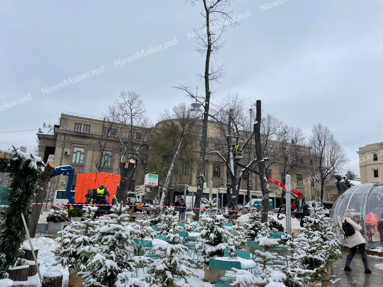 FOTO/VIDEO Arbori transformați în cioturi, în scuarul Mihai Eminescu din Chișinău. Explicația Primăriei