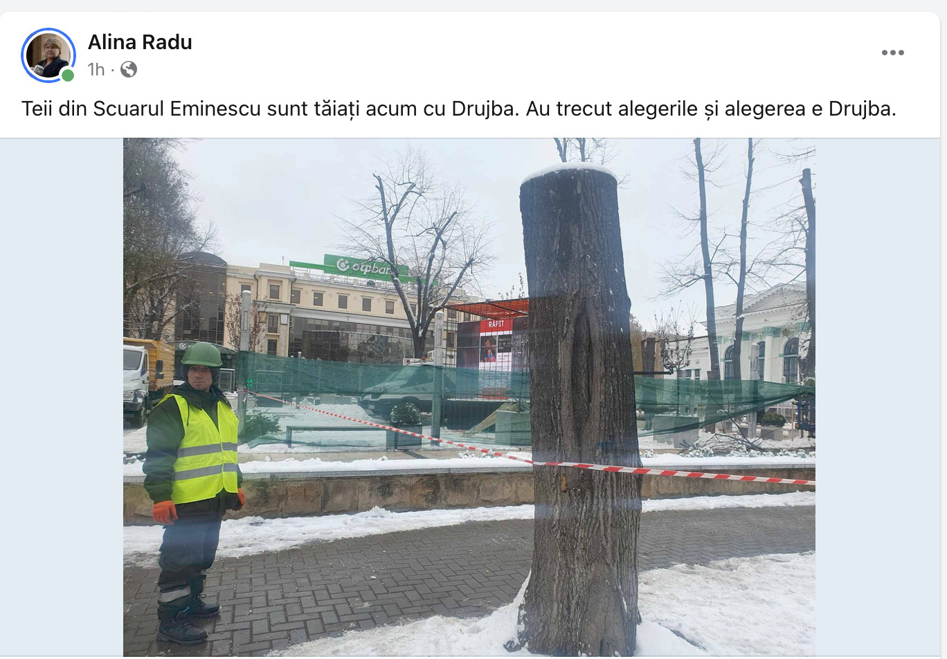 FOTO/VIDEO „Se bat ultimele cuie la sicriul din beton”. Reacții la tăierea arborilor din scuarul Mihai Eminescu