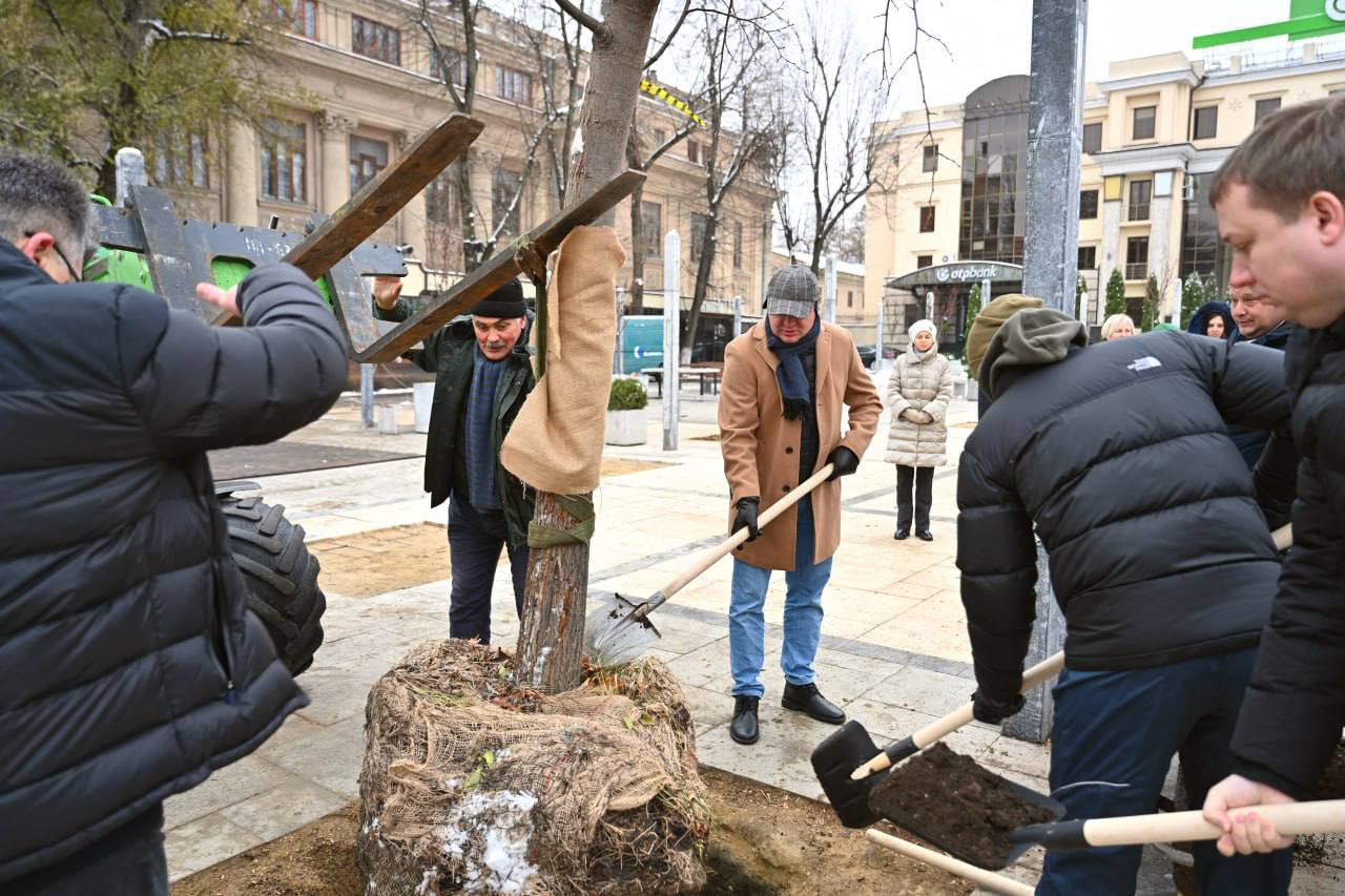 Copacii tăiați din scuarul Mihai Eminescu sunt înlocuiți cu tei. Ceban: „Pentru a pune în valoare zona și patrimoniul său arhitectural”