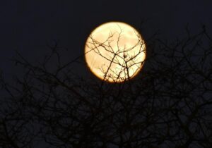 Fenomen astronomic deosebit, de Crăciun. „Luna Rece” va lumina cerul timp de câteva nopți