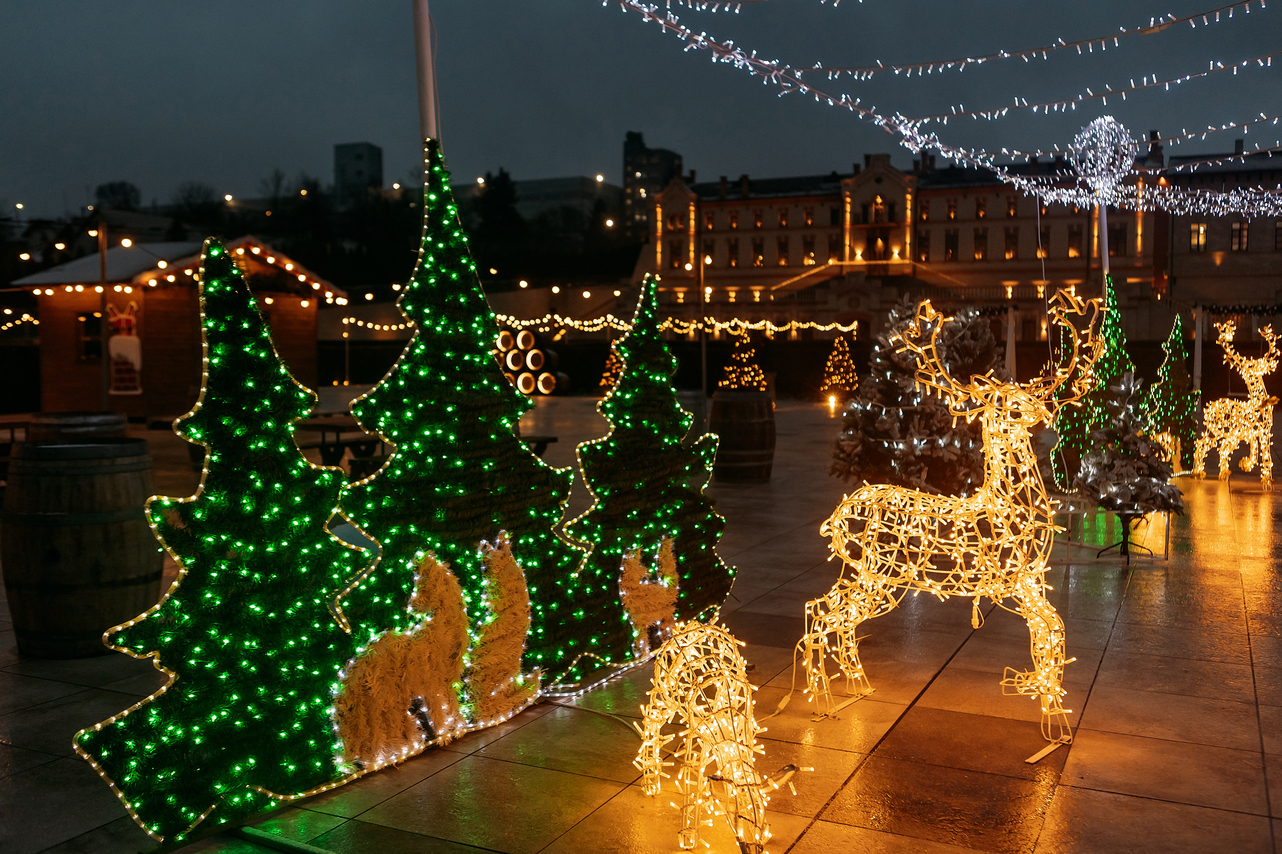 Насладитесь волшебством зимних праздников в замке Мими 9 декабря! Дед Мороз встретит детей сладкими подарками