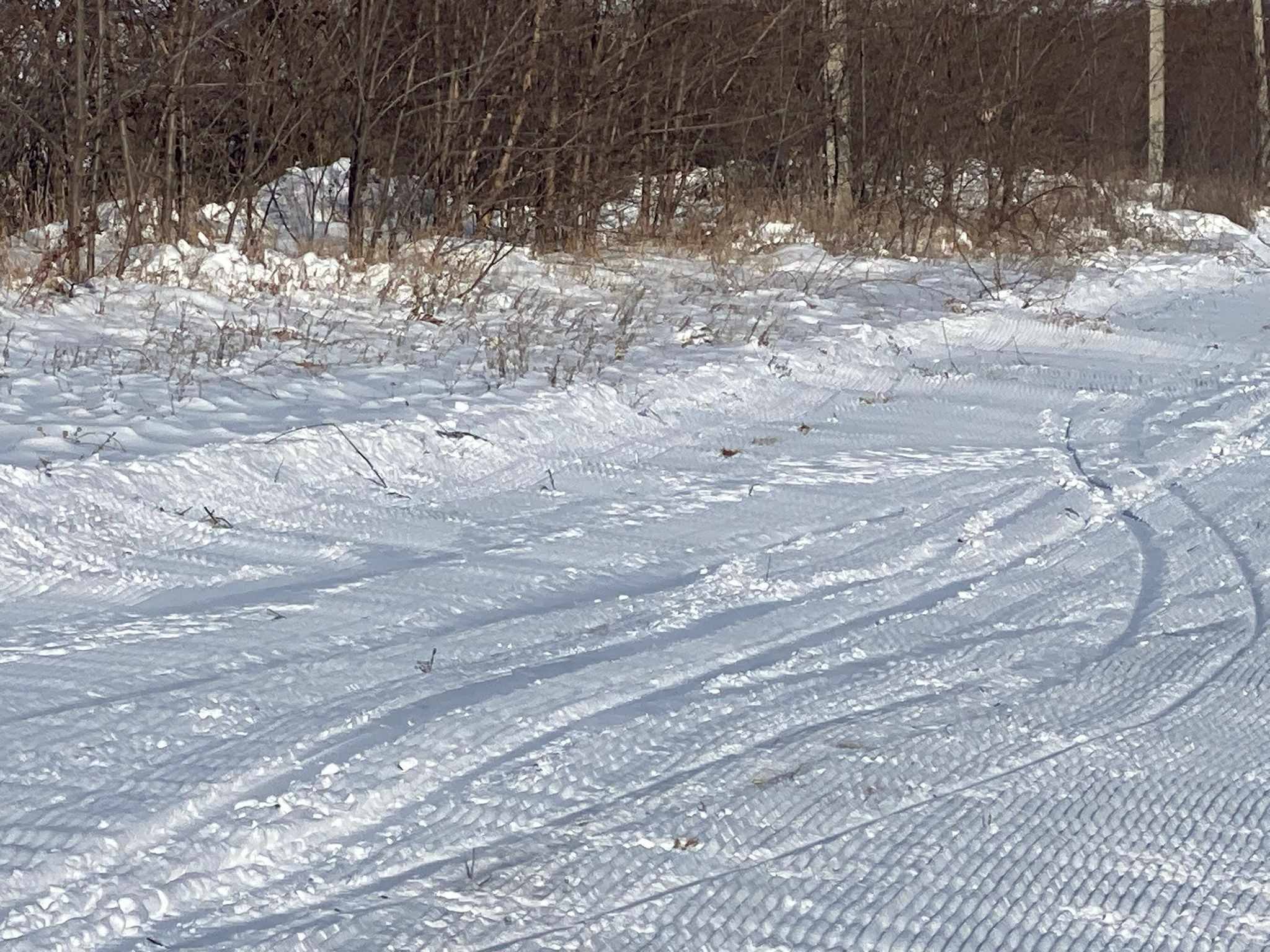 FOTO Pentru prima oară în ultimii 4 ani, la Călărași s-a deschis pârtia de schi. Cât costă biletele