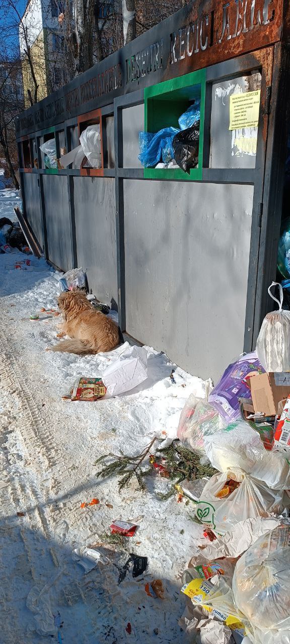 FOTO Chișinăul, inundat nu doar de zăpadă, dar și de gunoi. Ceban a găsit „vinovatul”: parcați în alte locuri