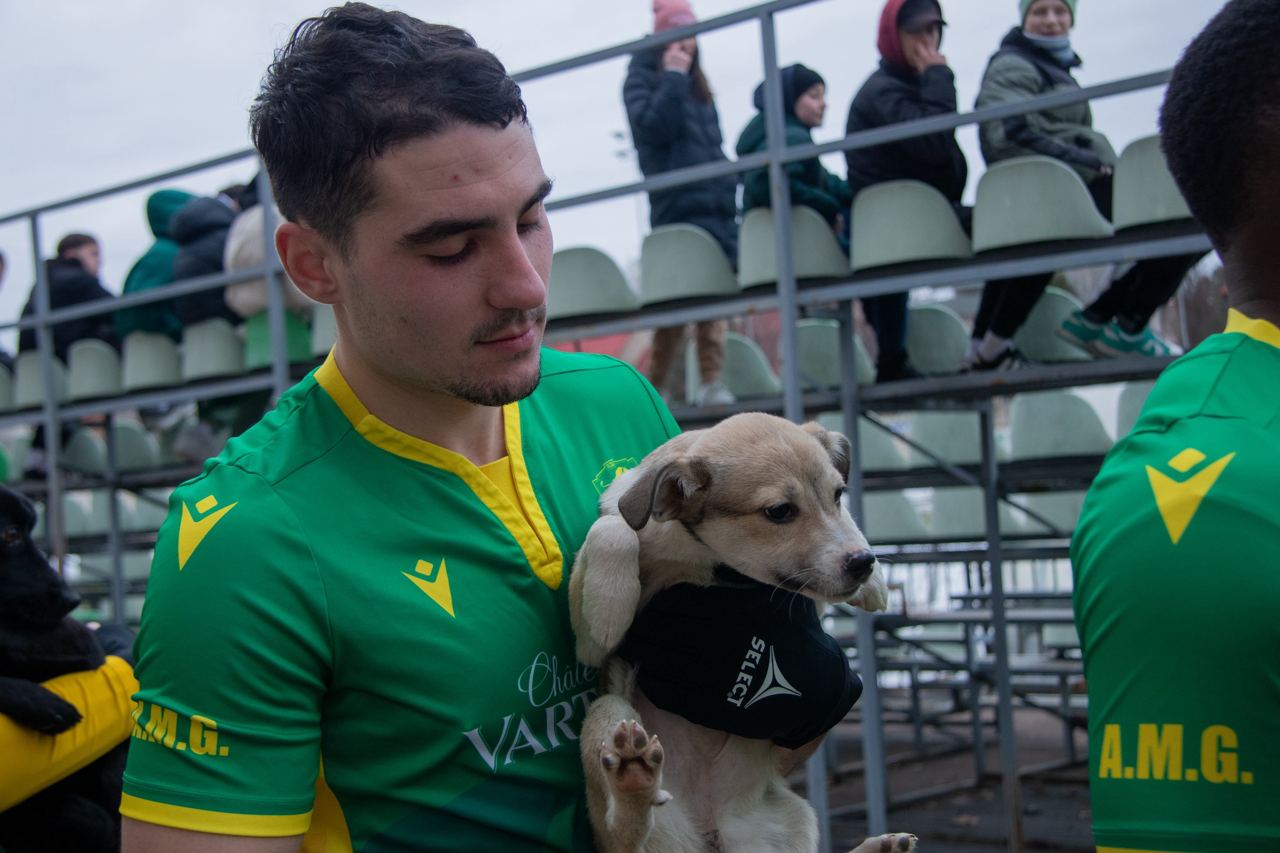 FOTO Adoptă un animal. Fotbaliștii de la Zimbru Chișinău au ieșit pe teren cu cățeluși în brațe