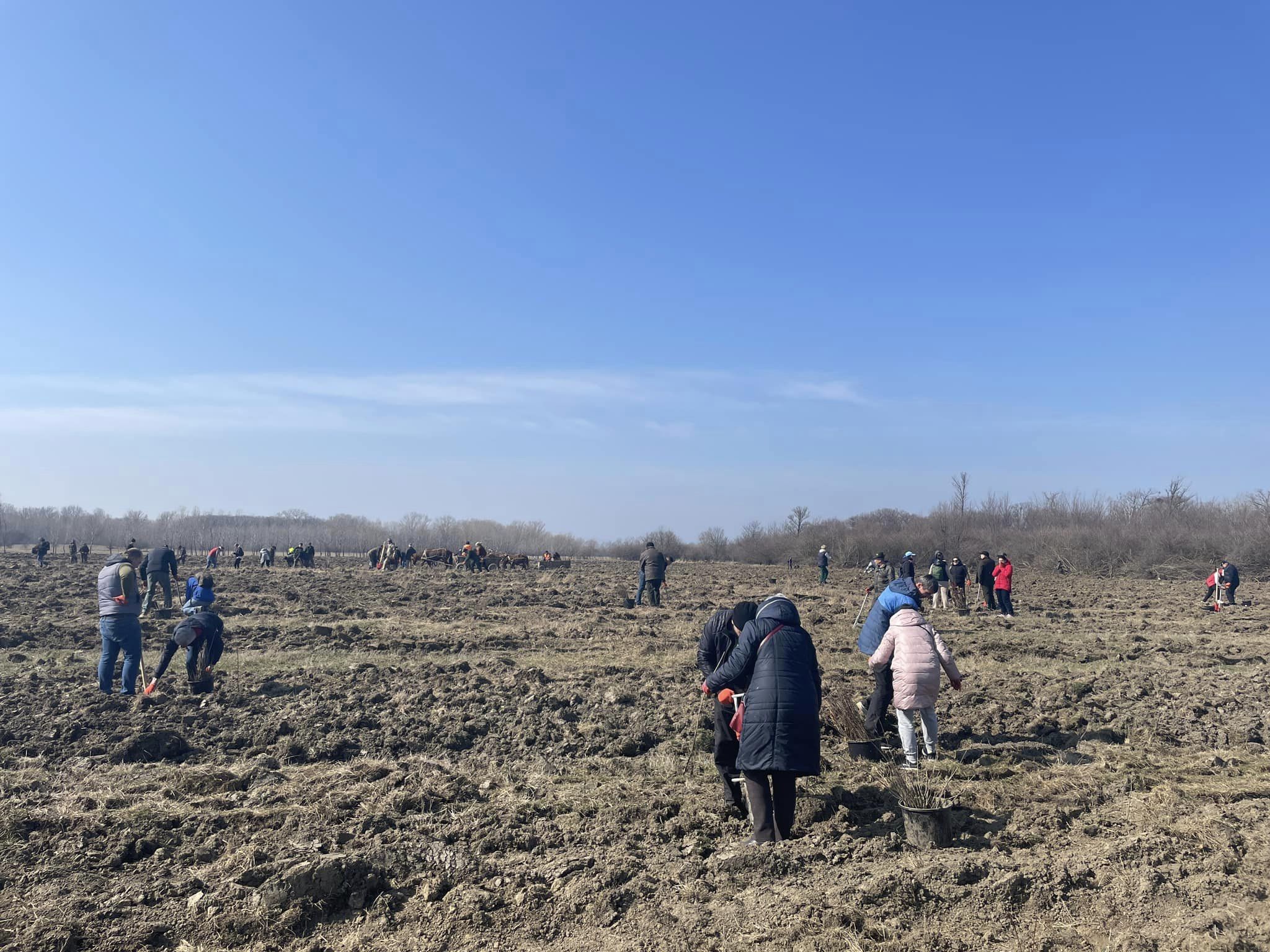 FOTO/VIDEO În Moldova a început campania de împădurire. Maia Sandu: „Va aduce rezultate mari” 