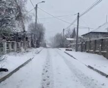 (ВИДЕО) На севере и в центре Молдовы выпал мокрый снег. Прогноз погоды на ближайшие дни