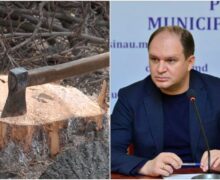 Au tăiat copaci pentru a-și putea extinde terasa? Ceban, despre defrișările de lângă ASEM: „Rugăm inspectorii de mediu să sancționeze dur”