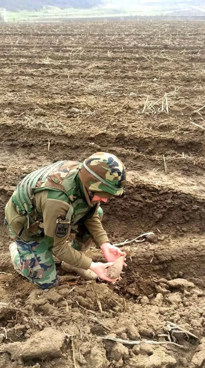 FOTO În raionul Leova, localnicii au găsit o bombă de aruncător. Precizările Ministerului Apărării