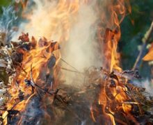 В Молдове за неделю выписали штрафы на 18 тыс. леев за поджог сухой растительности
