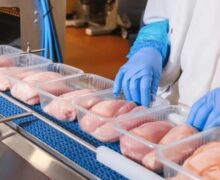 Молдова впервые получила право экспортировать мясо птицы в ЕС