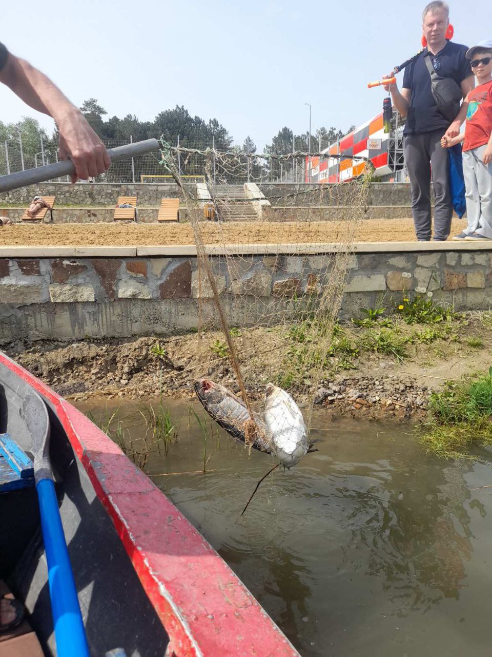 FOTO Pești morți, observați deasupra apei într-un parc din Chișinău. Explicația autorităților